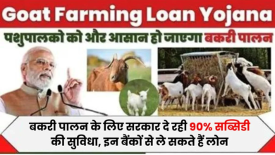 Goat Farming Loan Yojana Apply