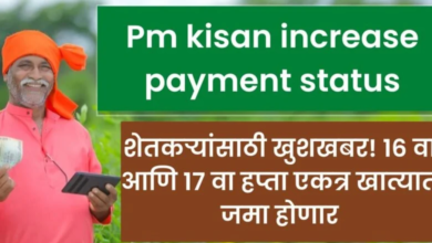 Pm kisan increase payment status