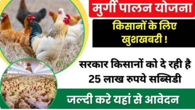 Poultry Farming Apply 2024