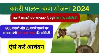 Goat Farming Loan Apply online 2024